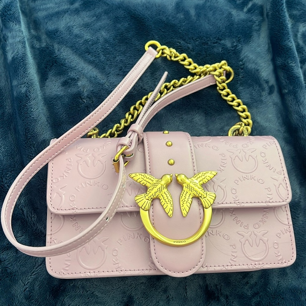 Pinko bag